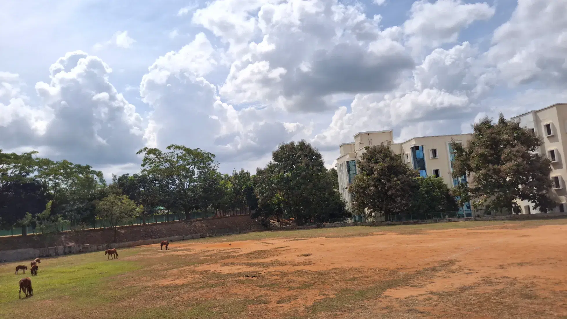 Jain University Bangalore Sports and Ground photo 1